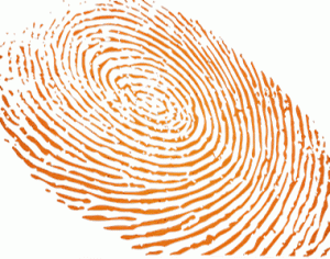 Content Identity Content Identity