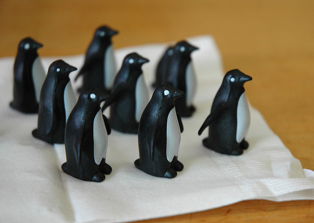 penguins