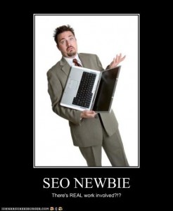 SEO Newbie picture SEO Newbie picture