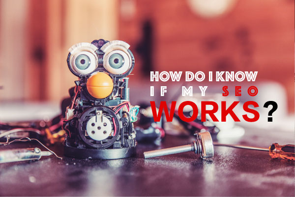 How do I know if my SEO Works?