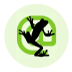 screamingfrog
